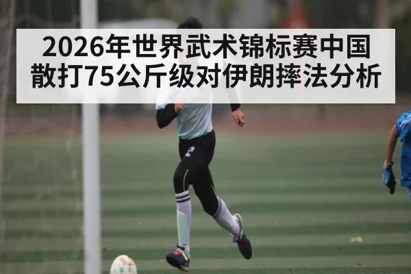 2026年世界武术锦标赛中国散打75公斤级对伊朗摔法分析